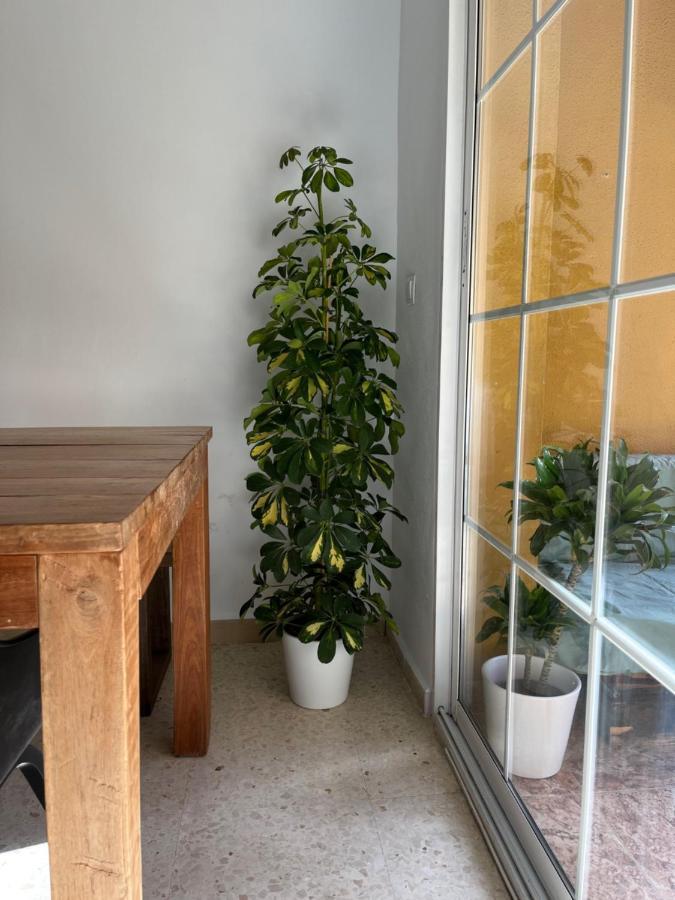 Apartamento La Biznaga Málaga Exteriör bild