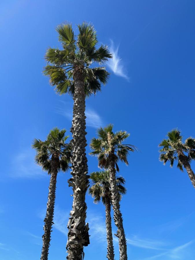Apartamento La Biznaga Málaga Exteriör bild